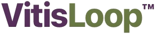 VitisLoop